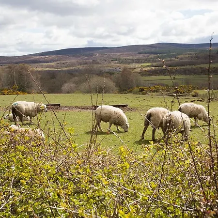 Leanach Farm-3